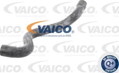 VAICO V10-2730 - Flessibile radiatore www.autoricambit.com