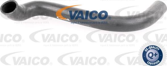 VAICO V30-0249 - Flessibile radiatore www.autoricambit.com