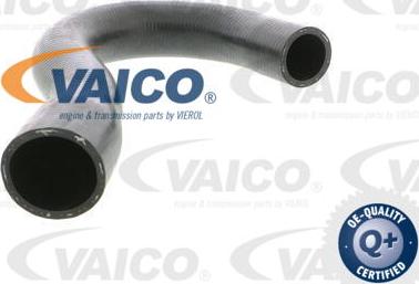VAICO V30-0258 - Flessibile radiatore www.autoricambit.com