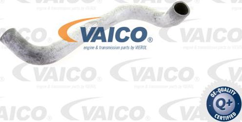 VAICO V30-0221 - Flessibile radiatore www.autoricambit.com
