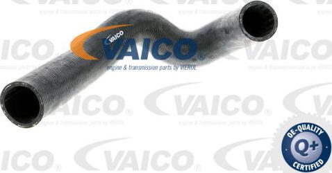 VAICO V30-0228 - Flessibile radiatore www.autoricambit.com