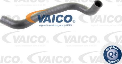 VAICO V30-0222 - Flessibile radiatore www.autoricambit.com