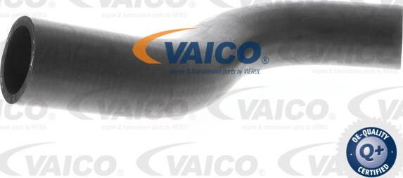 VAICO V30-0701 - Flessibile radiatore www.autoricambit.com