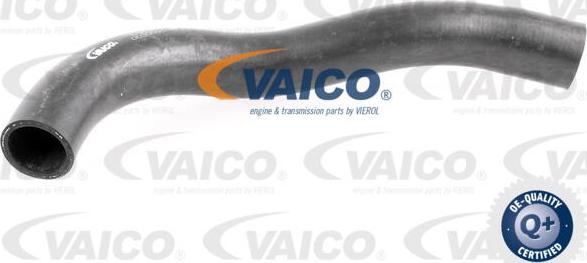VAICO V30-0719 - Flessibile radiatore www.autoricambit.com