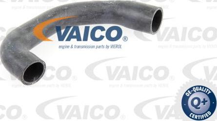 VAICO V30-0731 - Flessibile radiatore www.autoricambit.com