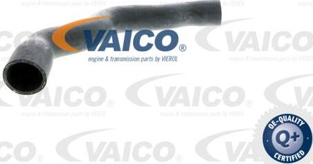 VAICO V30-1575 - Flessibile radiatore www.autoricambit.com