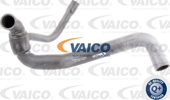 VAICO V30-1573 - Flessibile radiatore www.autoricambit.com