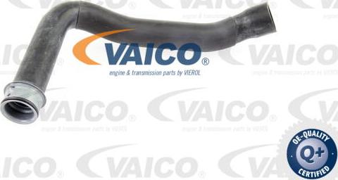 VAICO V30-1659 - Flessibile radiatore www.autoricambit.com