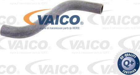 VAICO V30-1617 - Flessibile radiatore www.autoricambit.com