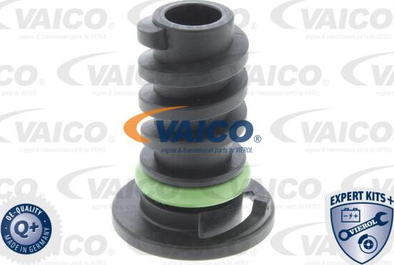 VAICO V30-1007 - Vite di chiusura, vaschetta dell'olio www.autoricambit.com