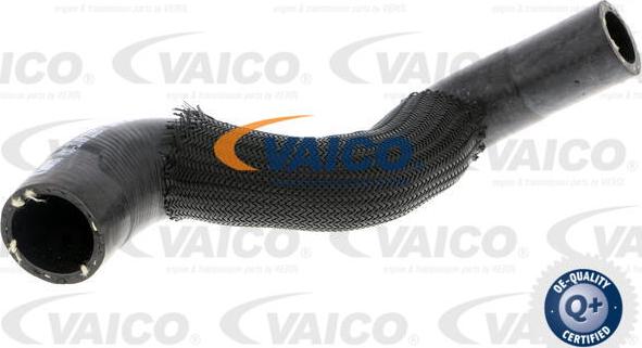 VAICO V30-3149 - Flessibile radiatore www.autoricambit.com