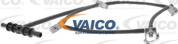 VAICO V30-3336 - Flessibile, Carburante perso www.autoricambit.com