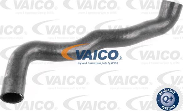 VAICO V30-2913 - Flessibile radiatore www.autoricambit.com