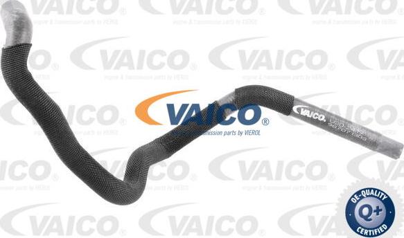 VAICO V30-2419 - Flessibile radiatore www.autoricambit.com