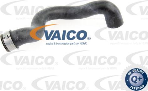 VAICO V30-2223 - Flessibile radiatore www.autoricambit.com