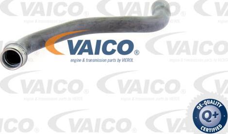 VAICO V30-2227 - Flessibile radiatore www.autoricambit.com