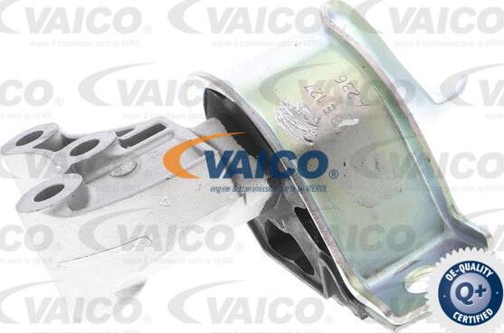VAICO V24-0555 - Sospensione, Motore www.autoricambit.com