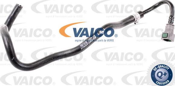 VAICO V24-0810 - Flessibile radiatore www.autoricambit.com