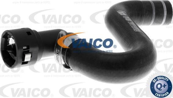 VAICO V24-0824 - Flessibile radiatore www.autoricambit.com
