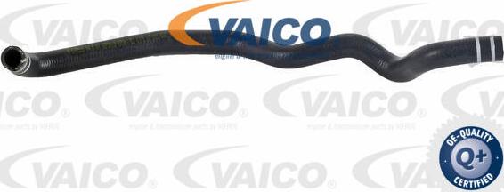 VAICO V24-0825 - Flessibile radiatore www.autoricambit.com