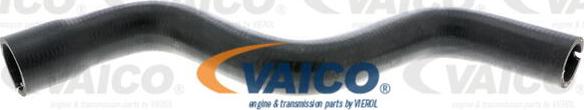 VAICO V24-0875 - Flessibile radiatore www.autoricambit.com