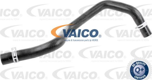 VAICO V25-1201 - Flessibile radiatore www.autoricambit.com