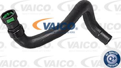 VAICO V25-2576 - Flessibile radiatore www.autoricambit.com