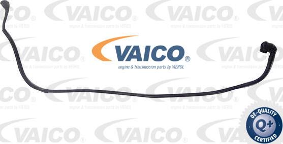 VAICO V20-4352 - Flessibile radiatore www.autoricambit.com