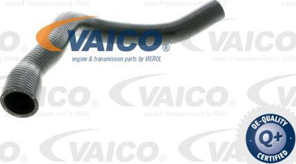 VAICO V20-0145 - Flessibile radiatore www.autoricambit.com