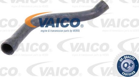 VAICO V20-0143 - Flessibile radiatore www.autoricambit.com