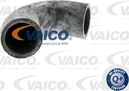 VAICO V20-0151 - Flessibile radiatore www.autoricambit.com