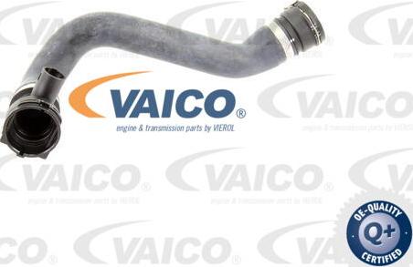 VAICO V20-0865 - Flessibile radiatore www.autoricambit.com