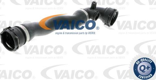 VAICO V20-0867 - Flessibile radiatore www.autoricambit.com
