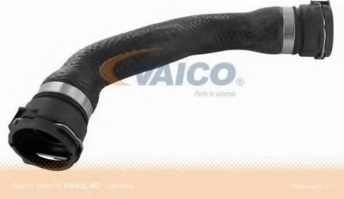 VAICO V20-1664 - Flessibile radiatore www.autoricambit.com