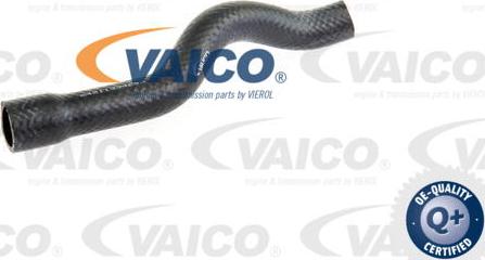 VAICO V20-1611 - Flessibile radiatore www.autoricambit.com