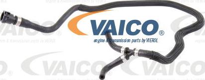 VAICO V20-1683 - Flessibile radiatore www.autoricambit.com