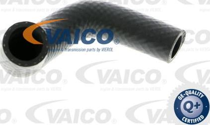 VAICO V20-1348 - Flessibile radiatore www.autoricambit.com