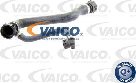 VAICO V20-1295 - Flessibile radiatore www.autoricambit.com