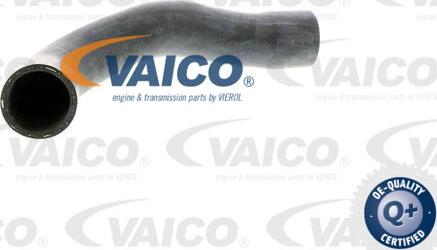 VAICO V20-1241 - Flessibile radiatore www.autoricambit.com