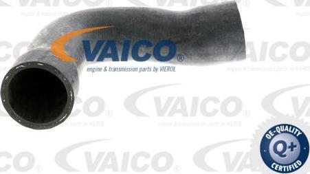 VAICO V20-1250 - Flessibile radiatore www.autoricambit.com