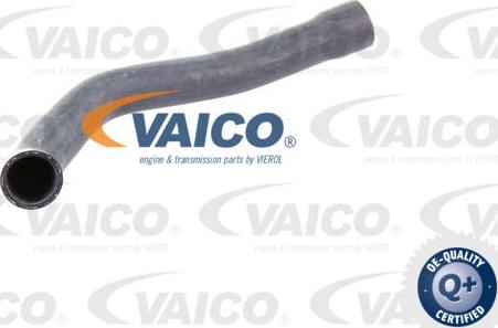 VAICO V20-1251 - Flessibile radiatore www.autoricambit.com