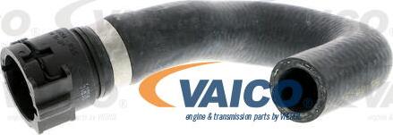 VAICO V20-1751 - Flessibile radiatore www.autoricambit.com