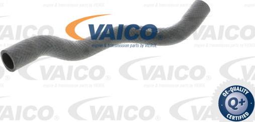VAICO V20-1709 - Flessibile radiatore www.autoricambit.com