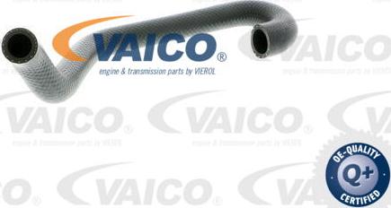 VAICO V20-1701 - Flessibile radiatore www.autoricambit.com