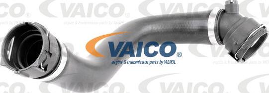 VAICO V20-2164 - Flessibile radiatore www.autoricambit.com