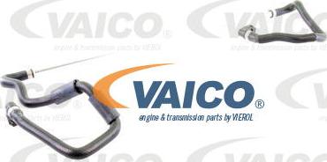 VAICO V20-2350 - Flessibile radiatore www.autoricambit.com