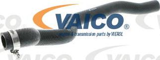 VAICO V20-2298 - Flessibile radiatore www.autoricambit.com