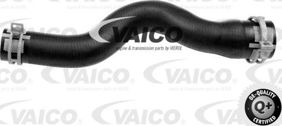 VAICO V22-0743 - Flessibile radiatore www.autoricambit.com