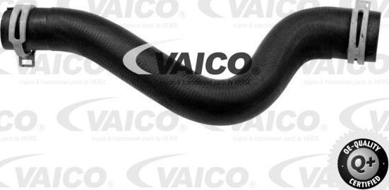 VAICO V22-0742 - Flessibile radiatore www.autoricambit.com