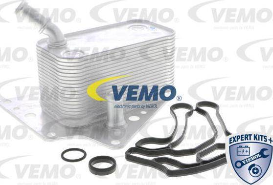 Vemo V40-60-2101 - Radiatore olio, Olio motore www.autoricambit.com